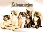 Katzenzungen Magnet 6x8 cm Kraftmagnet Kühlschrankmagnet PC301/218