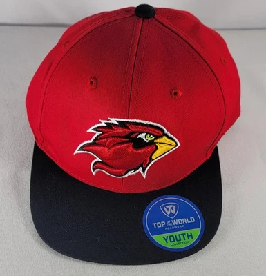 Top Of The World Zephyr Lamar Cardinals Juventud Billete Plano Snapback Sombrero Gorra de Baile  Foto 1 de 4