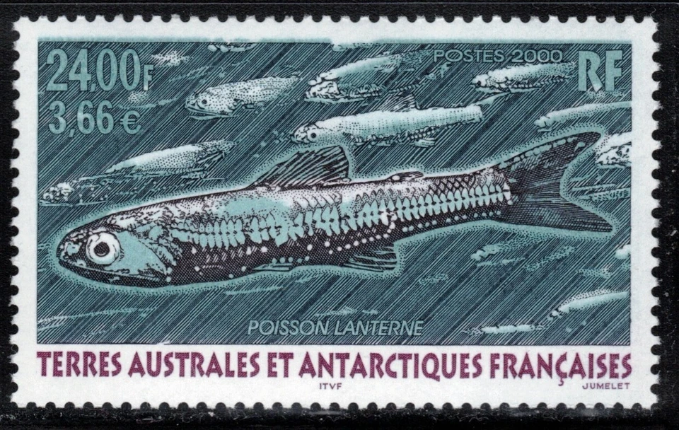 2000 TAAF/FSAT Lanternfish MNH - Image 1 of 1