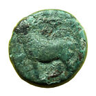 Pièce de monnaie grecque antique Mylasa Caria AE13 mm cheval / trident 00157