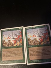 MTG Untamed Wilds x2 4th Edition