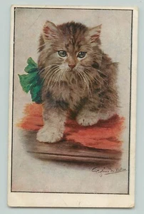 POSTCARD PRETTY CAT. KITTEN. EUGENIE M VALTER. 1926 CREASE - Picture 1 of 2