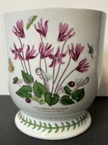 NEU Vintage Portmeirion "Cyclamen Repandum" Botanischer Garten Pflanzgefäß 6 x 5 1/2" - Bild 1 von 4