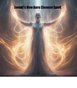 JANAKI'S NEUF NETTOYAGE COMPLET AURA 48 HEURES TRAVAIL INTENSIF - Photo 1 sur 1