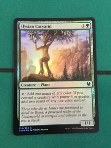 MTG Magic the Gathering - FOIL Ilysian Caryatid NM Theros Plant - Picture 1 of 1
