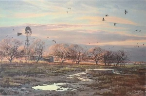 Wintertaube Kräuterkabine Windmühle Taubtank schöner Winterhimmel Texas - Bild 1 von 1