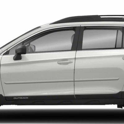 For: Subaru Outback 2010-2019 Painted Body Side Moldings #FE-OUTBACK Foto 1 de 4