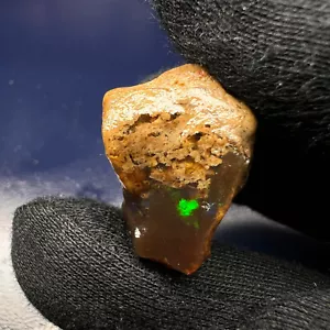 40 Carat Raw Ethiopian Opal Rough - Brilliant Multi-Color Play, Natural Gemstone - Picture 1 of 5