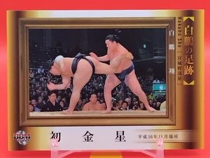 Tarjeta coleccionable Hakuho Sho/Luchador de sumo BBM TCG Japón japonés #84 - Imagen 1 de 10