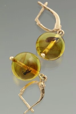 Pendientes de cuentas redondas genuinos ámbar báltico oro 14k insectos fósiles 3g 200819-6 Foto 1 de 4
