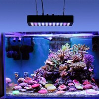 Aquarium Lampe LED dimmbar 165W mit WiFi  6 Band Korallen Fische