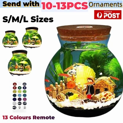 Mini Aquarium Fish Tank LED Lights Lamp Small Viewing Fish Glass Bottle Decor AU - image 1 of 4