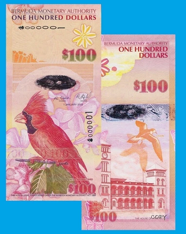 BERMUDA 100 dollars 2009 - Copy Cover
