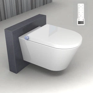 Dusch WC Sitzheizung Entkalkungsfunktion Komplettanlage BERNSTEIN 1102 Premium - Bild 1 von 6