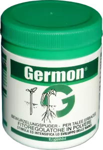 GOBBI - GERMON BEW TALEE ERBACEE - FITOREGOLATORE RADICANTI - BARATTOLO 500 GR - Imagen 1 de 1