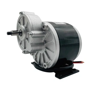 DC 12V 24V 36V Electric Bicycle Motor 250W 350W MY1016Z Gear Motor High Speed - Picture 1 of 5