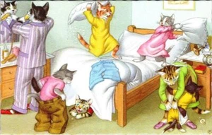 MAINZER Dressed Cats #4856 BEDTIME~PILLOW FIGHT Anthropomorphic BELGIUM Postcard - Picture 1 of 2