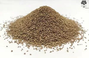 Dried Edible Whole Celery Seeds 85g - 1.95Kg Apium Graveolens - Picture 1 of 6