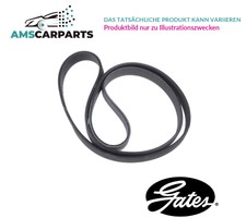 V-BELT WEDGE RIB STRAP 4PK833 GATES P NEW OE QUALITY