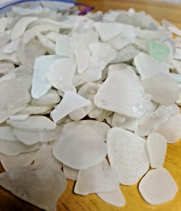 ***Lot of 10 Pounds*** WHITE GENUINE BEACH SEA GLASS NATURAL SURF TUMBLED 