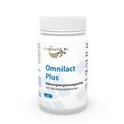 Probiotique Omnilact plus  60 Capsules  Lactobacillus Bifidobacterium Vita World