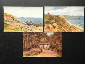 Lote de 3 postales serie salmón Boscombe Inglaterra sin usar - Imagen 1 de 12