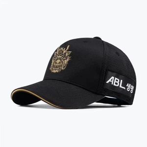 KBO Korean Baseball NC Dinos 2025 Authentic Chungmugong Yi Sun-sin Baseball Cap - Bild 1 von 5