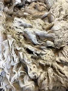 4+lbs Navajo Churro Sheep Wool spinning felting weaving fleece fiber locks hair - Picture 1 of 8