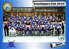1993-94 Swiss HNL #461 Grasshoppers-Club Zurich