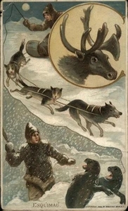Hunting Trade Card Man on Sled Pulled by Dogs,Fighting Seals - Picture 1 of 2