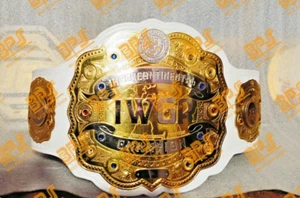 IWGP Intercontinental World Heavyweight Wrestling Champion Title 4mm Zinc Plate - Picture 1 of 9
