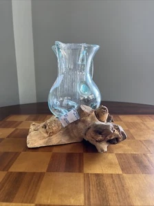 Handblown Molten Glass On Teak Driftwood Base Decorative Vase Terrarium Planter - Picture 1 of 6