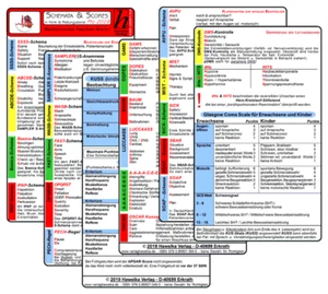 Schemata & Scores "PRO" in Klinik & Rettungsdienst (3 Karten Set) - Bild 1 von 2