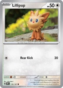Lillipup Obsidian Flames Pokémon TCG 170/197 Regular Common ࿊ - Picture 1 of 1