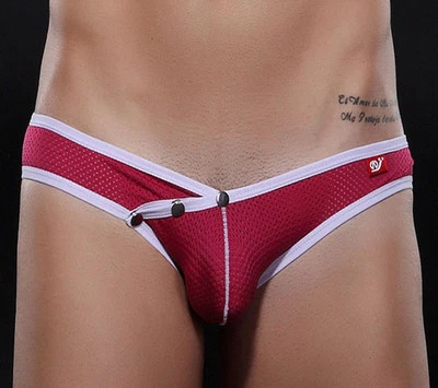 Male Briefs Sexy Underpants Men Underwear Mesh Brief Bikini Boxer Thongs Trunks - Image 1 of 4
