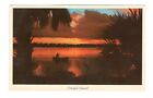 Colorful Sunset Along Florida Tropical Shores Vintage Postcard Eb246