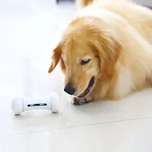 Smart Bones For Dog - Picture 1 of 14