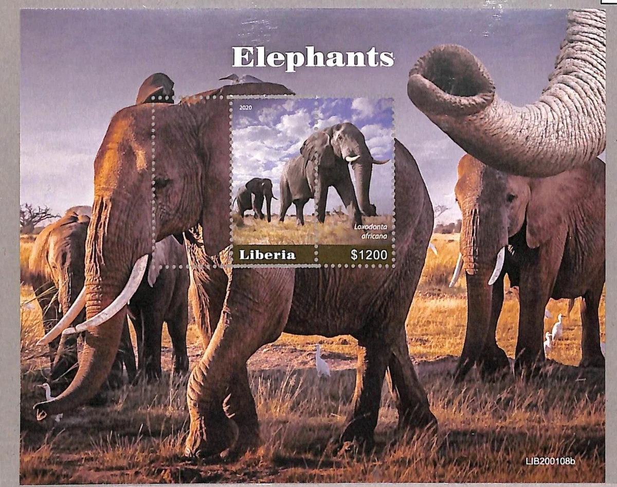 利比里亚大象野生动物邮政邮票| eBay