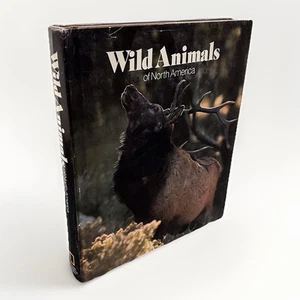 Wild Animals of North America National Geographic Society Bear 1979 Full Color - Bild 1 von 6