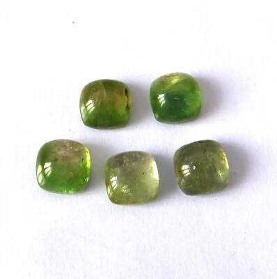 8X8 mm Cushion Bi Color Tourmaline Cabochon Natural Loose Gemstone 5 Pieces Lot - Image 1 of 4