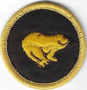 BSA MINT COLOR PATROL MEDALLION PATCH CLEAR PLASTIC BACK BROWN-YELLOW FROG - Foto 1 di 3