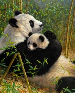 Giant Panda & Baby Panel 36in Endangered by Four Seasons Quilt Fabric Panel - Picture 1 of 1