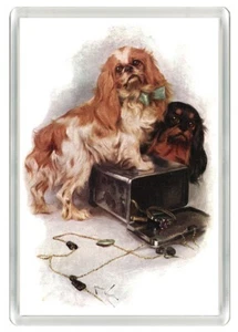KING CHARLES SPIELZEUG SPANIEL HUNDE SCHÖNER HUND KUNSTDRUCK NEUHEIT KÜHLSCHRANKMAGNET GESCHENK - Bild 1 von 1