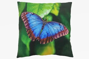 Kissen Motiv Morphofalter Deko Kuschelkissen 35x35 cm 1043087 - Imagen 1 de 1