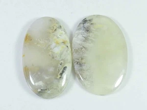 Ágata dendrítica tigre natural AAA 2 piezas cabujón ovalado piedras preciosas sueltas 39-39 mm u643 - Imagen 1 de 9