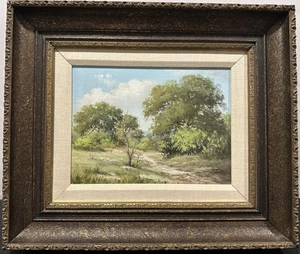 Charlotte Claire Payne, Hill Country Austin, Texas Art Oil Canvas Custom Framed - Picture 1 of 7