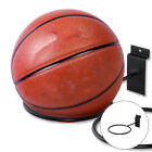 Eisen-Ballhalterung für Wand-Display: Basketball, Fußball, Volleyball