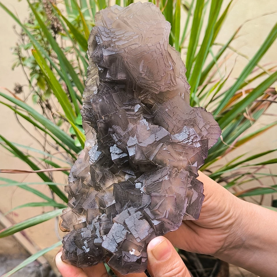 Muestra mineral de cristales de tono púrpura fluorita cúbica natural de doble cara 2120 g Foto 1 de 4