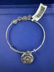 Alex Ani Olympics Team USA Swimming Charm Rafaelian Silver Bangle Bracelet - Picture 1 of 4