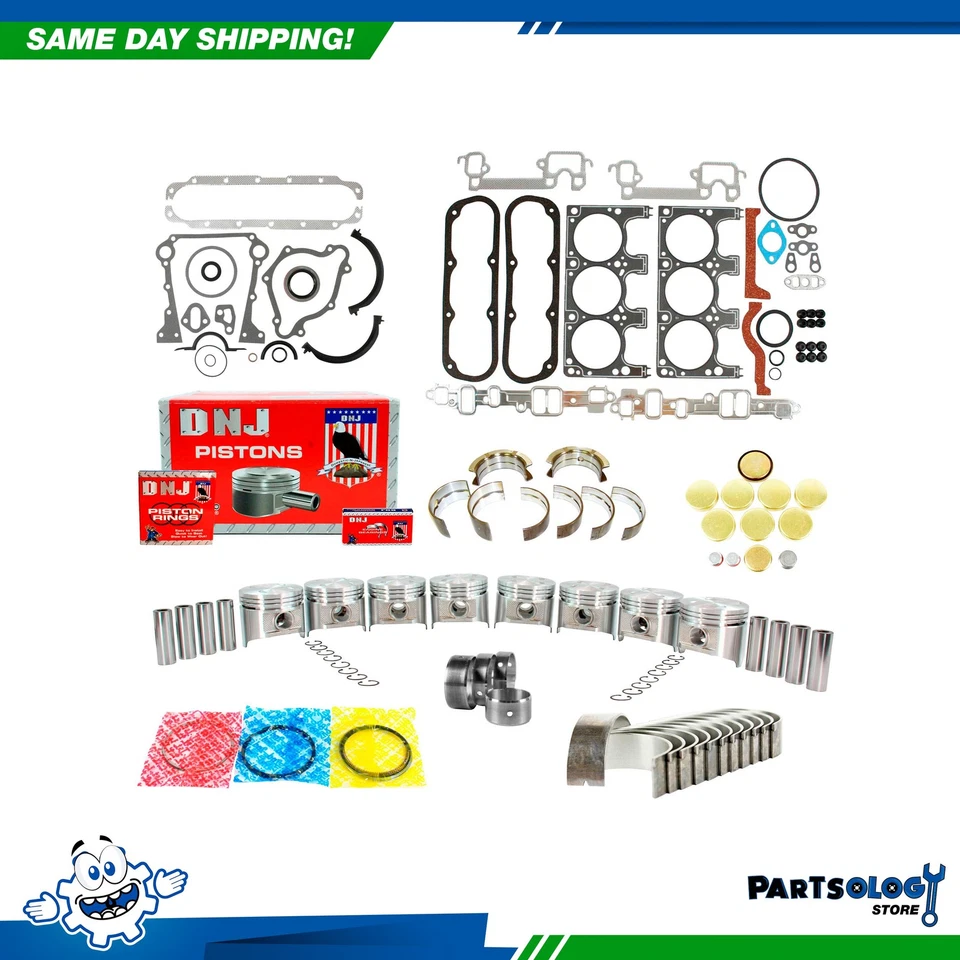 DNJ EK1110 发动机重建套件 适用于 87-89 道奇 B150 3.9L V6 OHV 12v VIN M X — 第 1/4 张图片